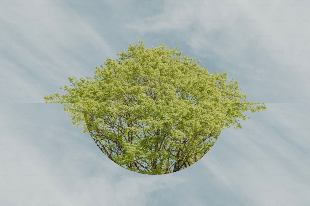 房车出行生态在协同中“解锁”万亿想象